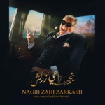 nagibzahizarkash